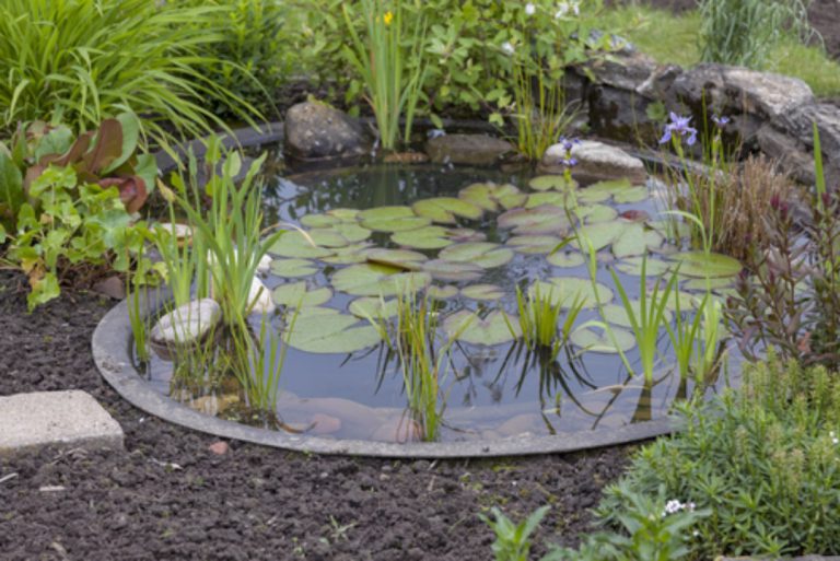Comment réaliser une analyse d'eau de mon étang ou de mon bassin ? —