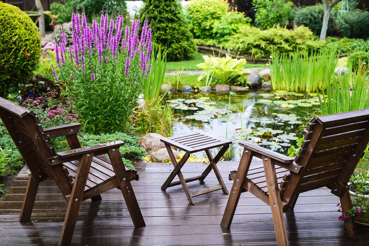 Bassin de jardin : installer, aménager et entretenir un bassin d